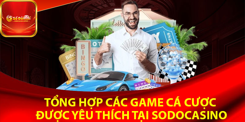 Tổng hợp các game cá cược được yêu thích tại sodocasino